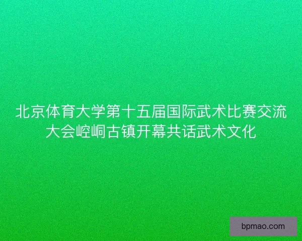 北京体育大学第十五届国际武术比赛交流大会崆峒古镇开幕共话武术文化