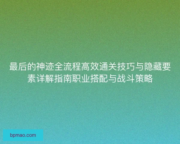 最后的神迹全流程高效通关技巧与隐藏要素详解指南职业搭配与战斗策略