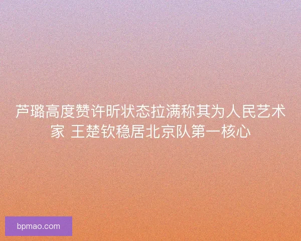 芦璐高度赞许昕状态拉满称其为人民艺术家 王楚钦稳居北京队第一核心